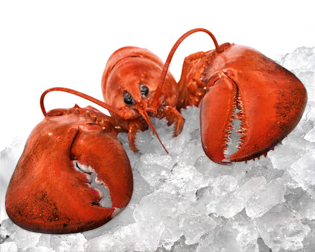 Tips for Cooking Lobster Claws
