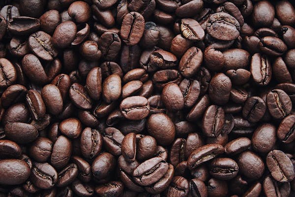 How long do coffee grounds last?
